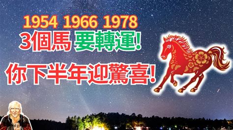 1966馬五行|【1966 年生肖】1966年出生生肖運勢解析！屬馬人的。